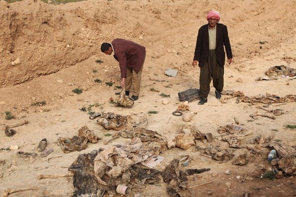 العثور على رفات 80 ايزيديا غربي الموصل